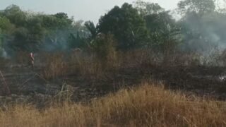 Iseng Bakar Sampah Lahan Kosong Kurang Lebih ± 500 M Milik Pemerintah Desa Palimanan Barat Ludes Terbakar